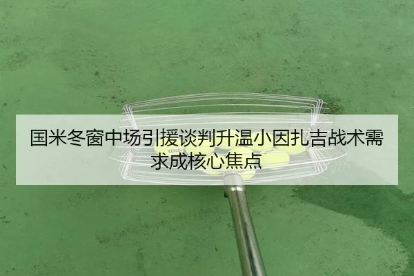 国米冬窗中场引援谈判升温小因扎吉战术需求成核心焦点 | QIUSUSPORTS