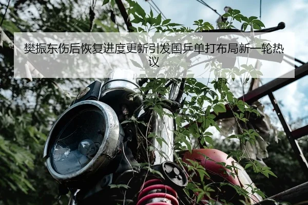 樊振东伤后恢复进度更新引发国乒单打布局新一轮热议 | QIUSUSPORTS